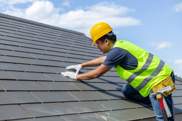Best Roof Gutter Cleaning  in Canyon Creek, WA