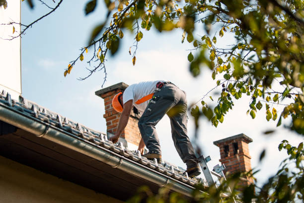 Best Local Roofing Companies  in Canyon Creek, WA
