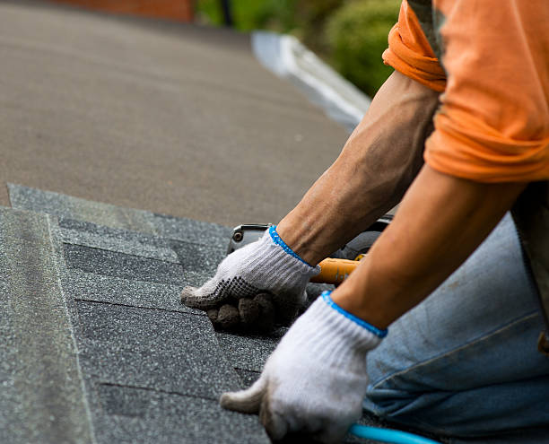 Best Roof Gutter Cleaning  in Canyon Creek, WA